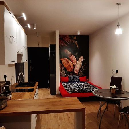 Apartament Pod Szyndzielnia, Debowiec Bielsko-Biala Bagian luar foto