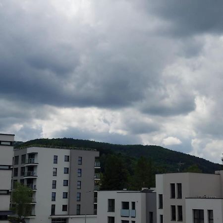 Apartament Pod Szyndzielnia, Debowiec Bielsko-Biala Bagian luar foto