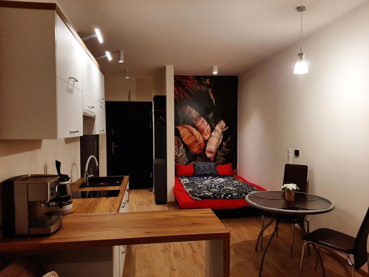 Apartament Pod Szyndzielnia, Debowiec Bielsko-Biala Bagian luar foto